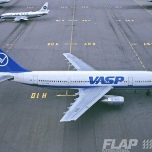 PP-SNN / A300 / Vasp