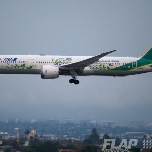 JA871A / 787-9 / All Nippon Airways