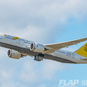 V8-DLA / 787-8 / Royal Brunei
